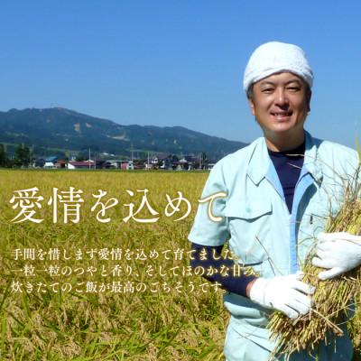 ふるさと納税 南魚沼市 【令和6年産】特別栽培米「南魚沼産コシヒカリ」(栽培期間中農薬節減・化学肥料不使用)白米8kg |  | 02