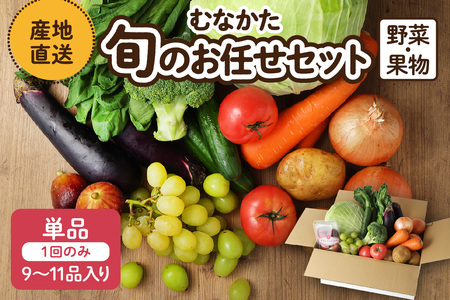 むなかた旬のお任せ セット 野菜 フルーツ 9～11品 _HA1570 | 詰め合わせ
