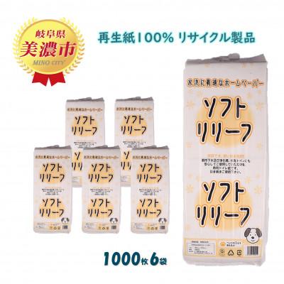 ふるさと納税 美濃市 【毎月定期便】ちり紙【リリーフ】1000枚x6袋 全12回
