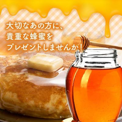 ふるさと納税 南九州市 国産百花蜂蜜600g |  | 01