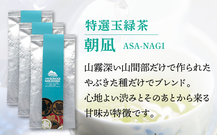 【2024新茶】【TVで紹介！】そのぎ茶 2種セット《特上「夕凪」2袋・特撰「朝凪」3袋》各90g 飲み比べ 詰め合わせ 東彼杵町/中山茶園 [BAS005] 茶 新茶 お茶 新茶 緑茶 新茶 日本茶