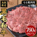 【ふるさと納税】鳥取黒毛和牛もも焼肉用(計760g)国産 鳥取県産 もも 牛肉 お肉 肉 牛脂 冷凍 オリジナル調味塩 お取り寄せ ギフト プレゼント 誕生日プレゼント お祝い 【sm-AP008】【いろは精肉本店】