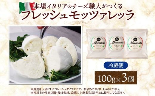 モッツァレラ 100g×3｜チーズ フレッシュ モッツァレラチーズ 北海道 札幌市