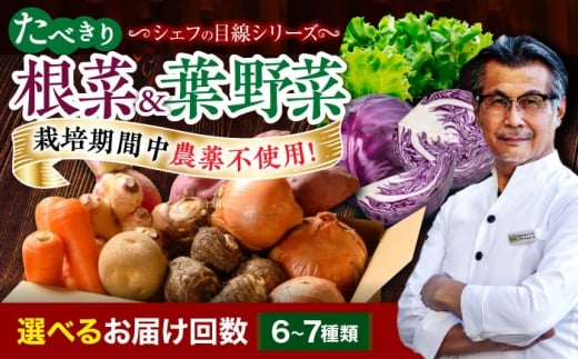 【シェフの目線】【全6回定期便】根菜×葉野菜 6から7種　単身・二人暮らし用セット　愛媛県大洲市/有限会社ヒロファミリーフーズ[AGBX053] 野菜 定期便 野菜セット やさい 野菜定期便 やさいセット 新鮮野菜 大洲市産 産地直送 おすすめ 人気 お取り寄せ 送料無料 贈答 ギフト