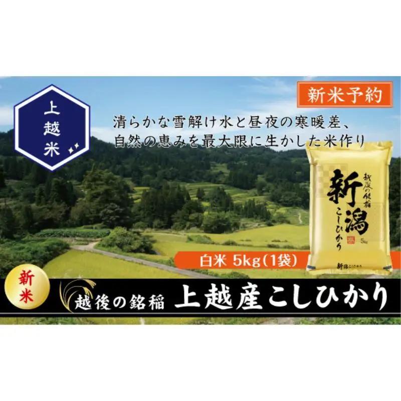 コシヒカリ 精米 上越産 コシヒカリ 5kg