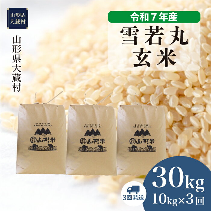 【ふるさと納税】＜令和7年産米＞ 大蔵村 雪若丸 ＜玄米＞ 30kg定期便（10kg×3回お届け）