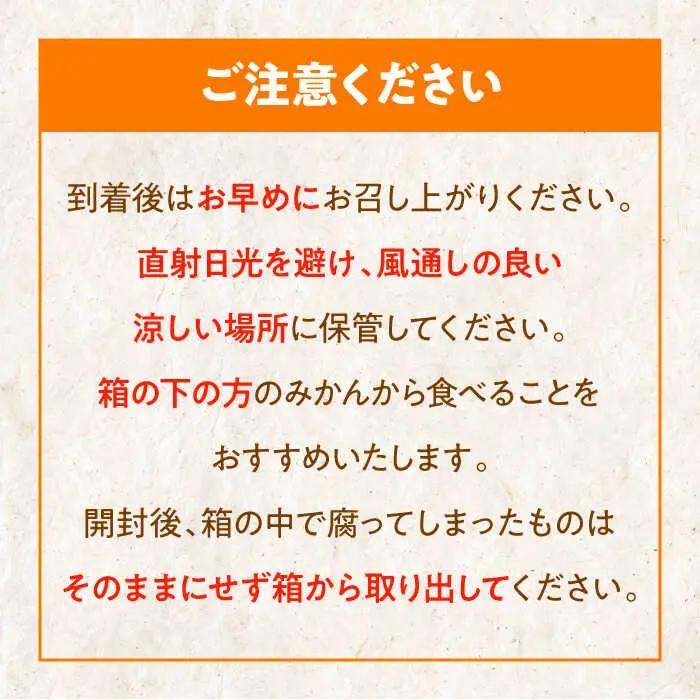 【みかん】温州みかん 5kg（南柑20号）[AGAW001]