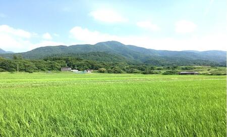 【令和7年産】佐渡高千産こしひかり2kg×2袋(精米)+しそ味噌100gセット