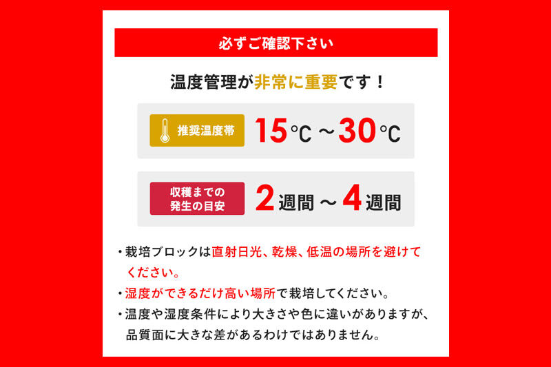 《夏季限定》きくらげ栽培キット 2種類セット もりのきくらげ農園／白いきくらげ農園 [木耳 きくらげ キクラゲ]