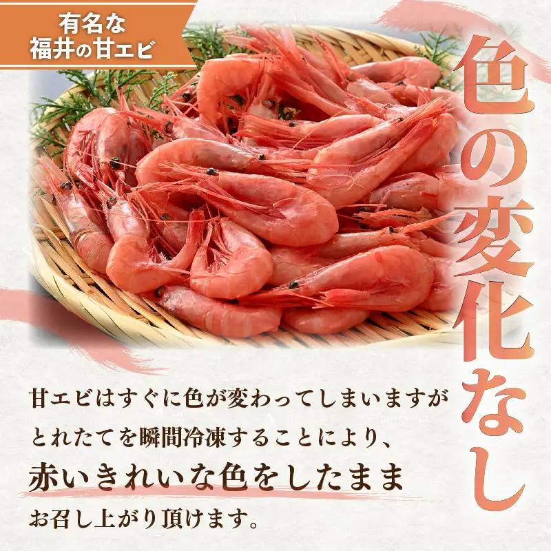 旬 甘えび 卵無し 小分け 約500g【12尾前後 × 3袋】中サイズ 【海老 お刺身】[m36-a021]