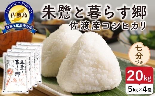 令和8年産 佐渡島産 朱鷺と暮らす郷 七分づき20kg 特別栽培米 | 新潟県産コシヒカリ 佐渡産コシヒカリ 朱鷺と暮らす郷 朱鷺認証米 特別栽培米 お米 米 七分づき おこめ コメ 20キロ にいがた さど 新潟県 佐渡市