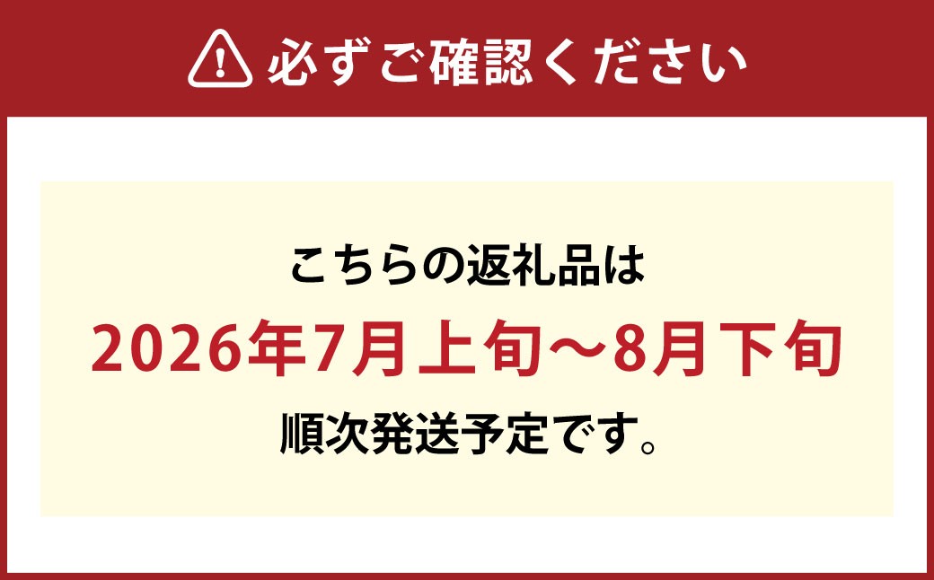 【ハウス栽培】岡山県産ニューピオーネ2房入り（1房480ｇ以上）