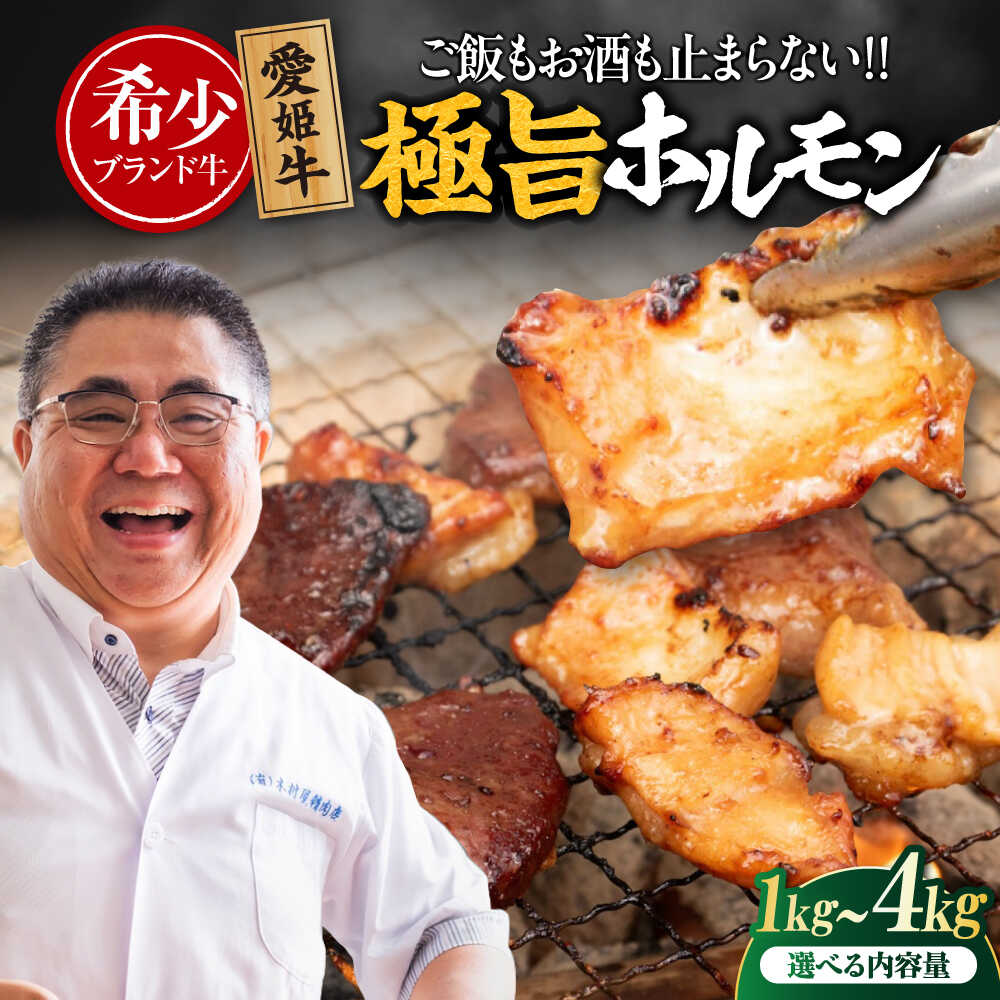 【ふるさと納税】 牛肉 【冷凍】【選べる容量】愛姫牛 肉屋のこだわりお惣菜 タレ漬けミックスホルモン 大洲市/木村屋精肉店[AGCC068]牛肉 和牛 牛 国産 国産和牛 愛媛県産 大洲市産 人気 おすすめ 簡単 おいしい お肉 肉 焼肉 送料無料 お取り寄せ 焼き肉 BBQ バーベキュー
