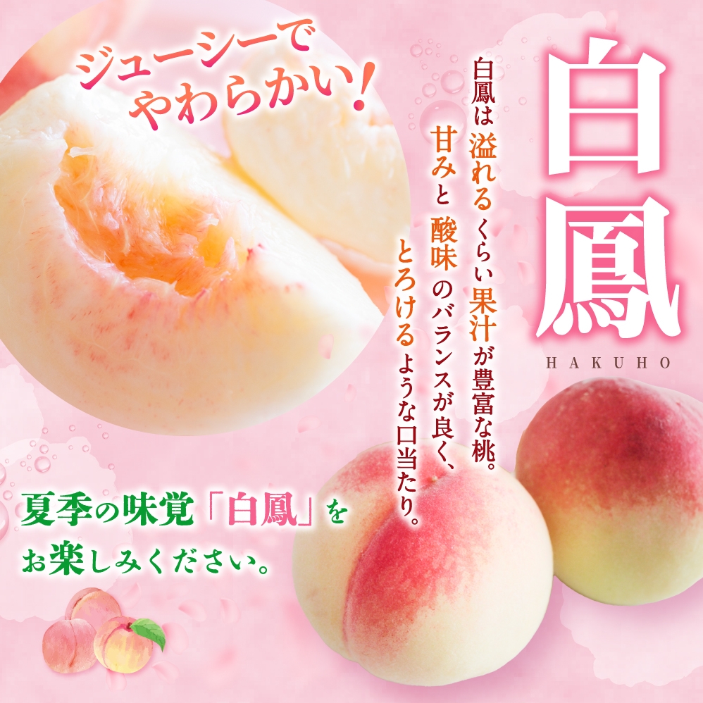 【受付停止まで残りわずか！】和歌山県産 白鳳 桃 5～8玉入り 秀品 先行予約【2025年6月下旬以降発送】【MG6】【mtgn053A】