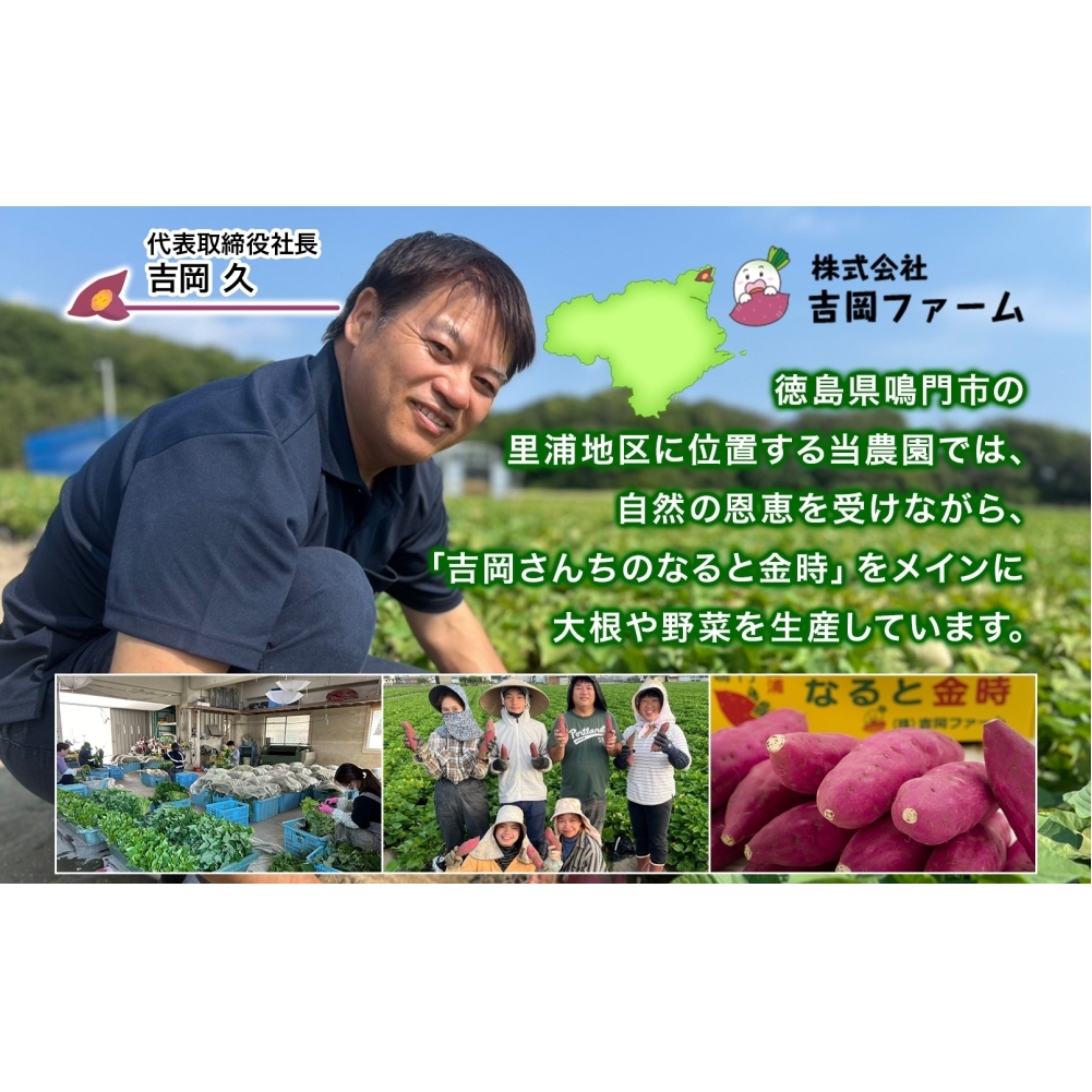 「吉岡さんちのなると金時」 Lサイズ 2kg_イメージ5