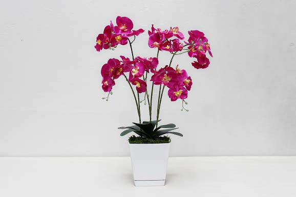 
胡蝶蘭（造花）GF-003
