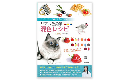 本 リアル色鉛筆混色レシピ 本