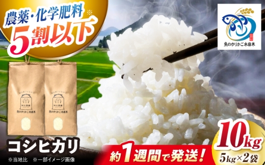 【スピード発送】【令和8年産 新米】コシヒカリ 10kg （5kg×2）近江米  魚のゆりかご水田米 滋賀県長浜市/阿辻農園 [AQAW012] こしひかり 米 お米 白米 10kg 長浜市産 こめ 精米 お米  食品 ふるさと納税 国産 炊きたて 米ギフト もちもち ブランド米  食卓 美味しい 産地直送 人気 ご飯 ごはん コメ kome