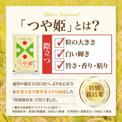 ふるさと納税 河北町 【令和7年産米】2026年8月下旬発送 つや姫10kg(5kg×2袋)山形県産 【JAさがえ西村山】 |  | 01