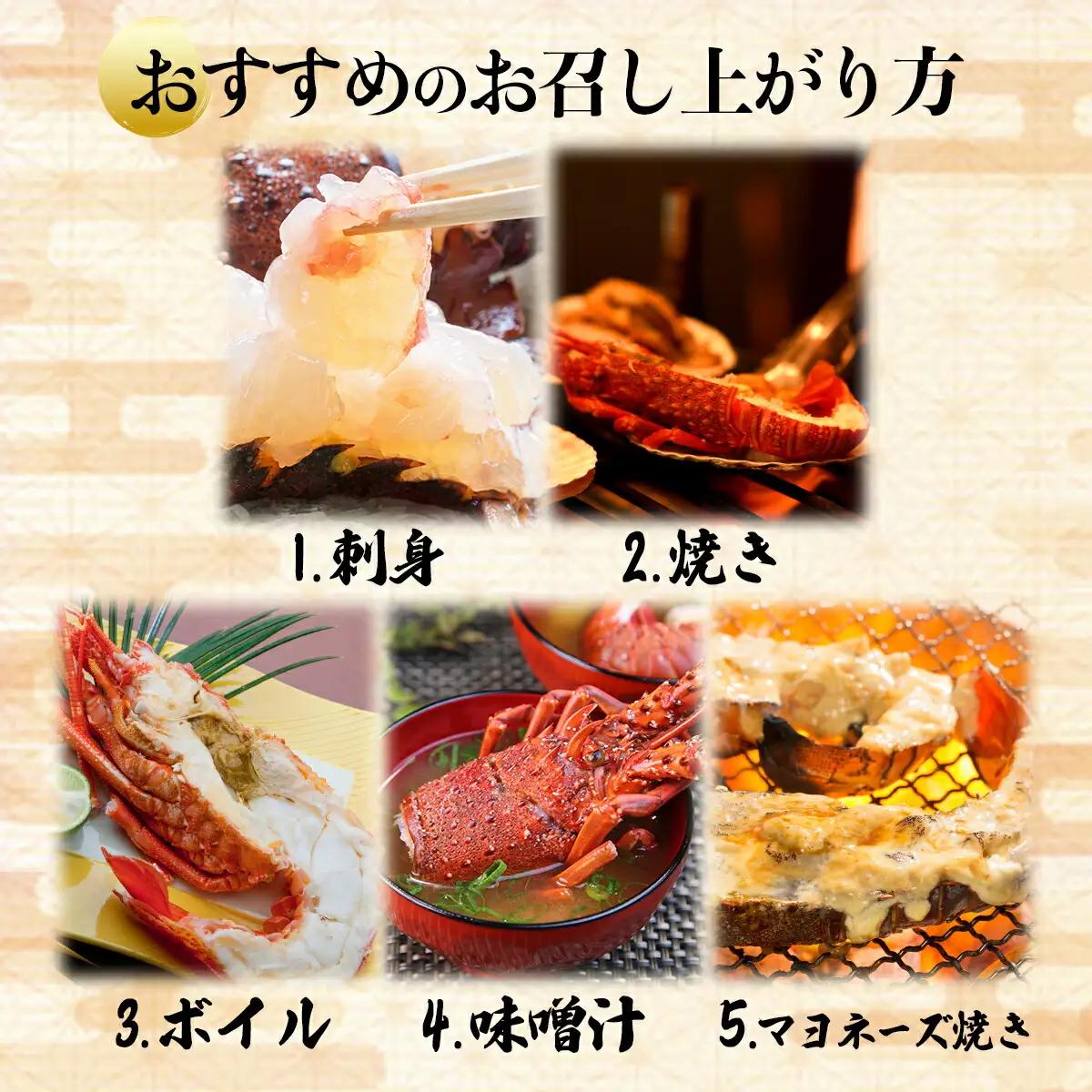 ウチワエビ(大)×1尾＆伊勢海老×1尾の豪華セット　 S218 [S-24] 【株式会社森海家】