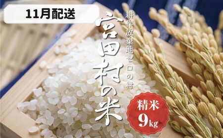 【予約受付】【令和６年米】【新米】長野県産　減農薬栽培コシヒカリ／精米／9kg・9,000円／11月配送