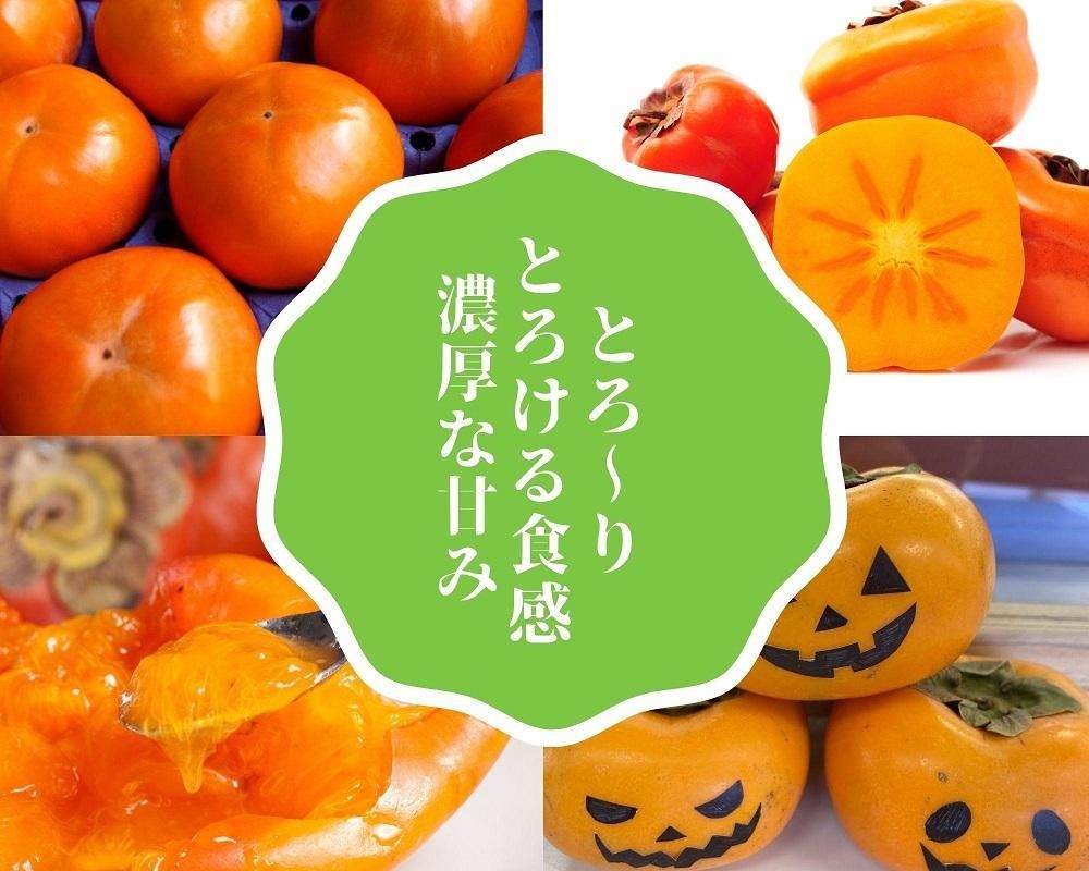 少雨と高温が続いた春。羽茂の柿は大玉に仕上がった