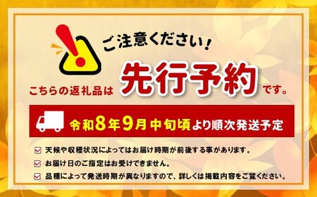 【先行受付】信州産 種無し巨峰 2房 約1kg