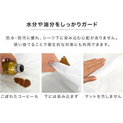 ふるさと納税 海南市 使い捨てビニール防水シーツ 10枚入り 幅180×長さ240 白 BYT1011379 |  | 02