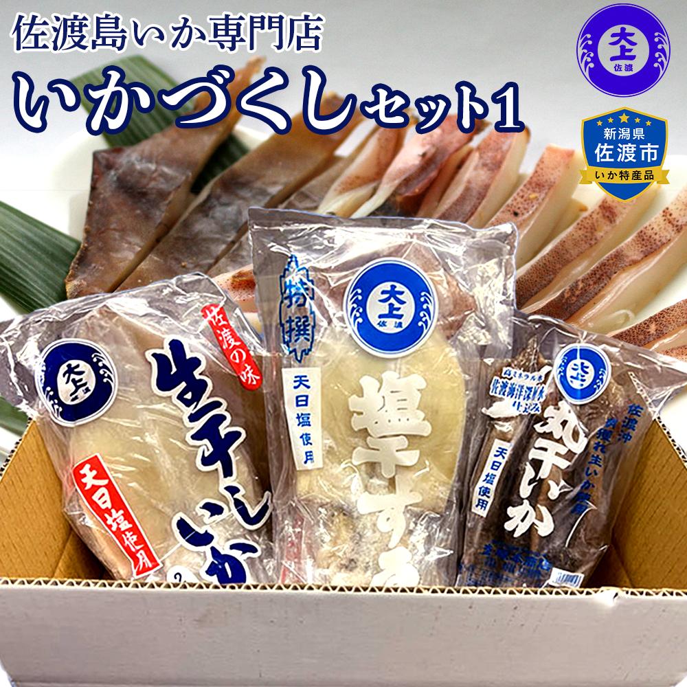 干物 イカ 佐渡沖産 3種 いかづくしセット1 佐渡島いか専門店