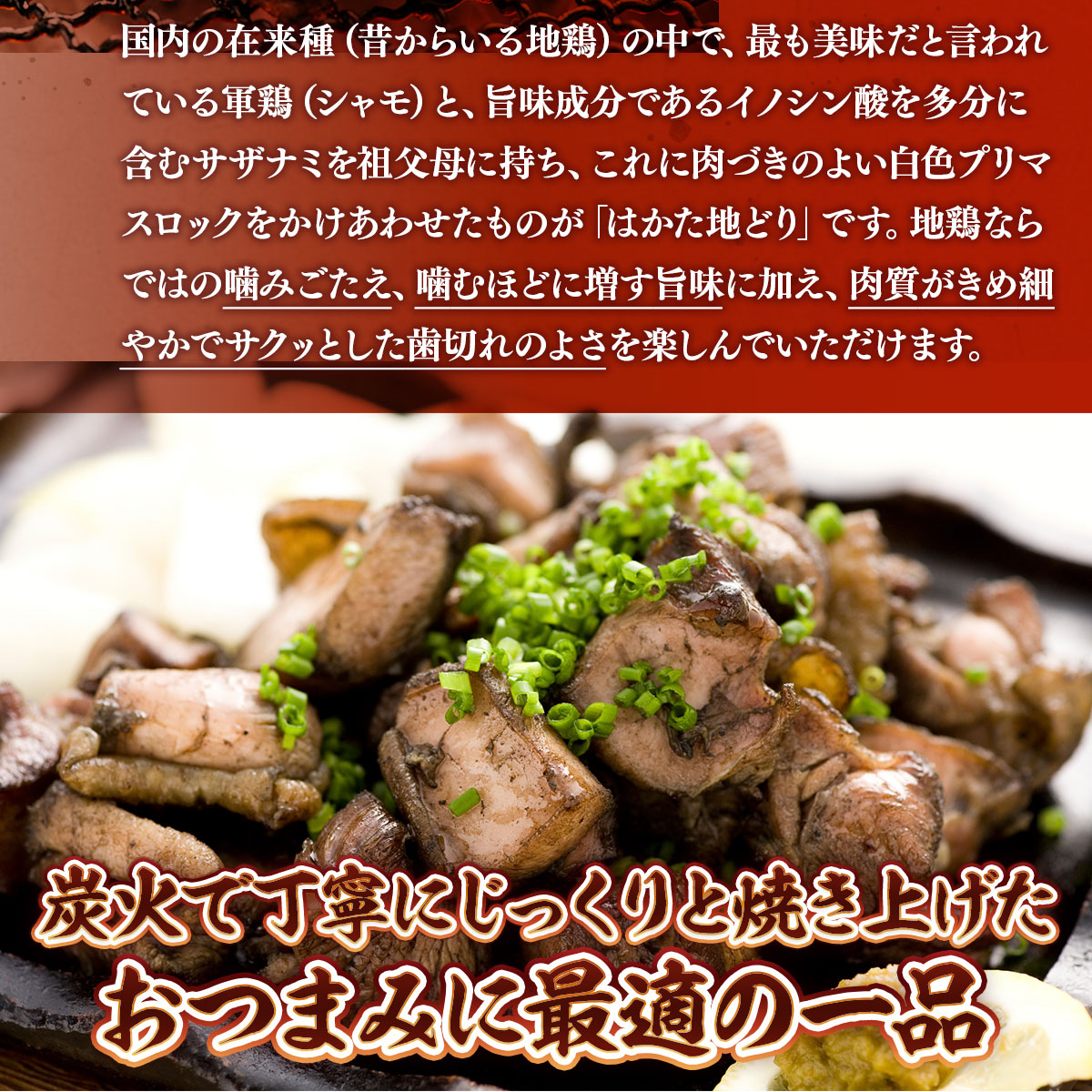 はかた地どり 炭火焼 セット100g 5p 計500g [MEAT PLUS 福岡県 宇美町 um40azp010031] 炭火焼鳥 炭火焼き 鶏肉 地鶏 博多地鶏 はかた地鶏 博多地どり