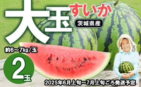 【先行予約】茨城県産大玉すいか2玉セット（約6～7kg/玉）【2025年6月上旬～7月上旬ごろ発送予定】【 スイカ 下妻スイカ 茨城県スイカ 人気スイカ すいか 西瓜 美味いスイカ おすすめすいか 茨城県産すいか 】