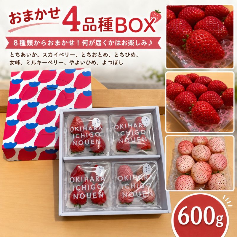【ふるさと納税】いちご 人気 食べ比べ 4品種 おまかせ セット 贈答 プレゼント 約600g【先行予約】｜スカイベリー ミルキーベリー とちおとめ とちあいか とちひめ 女峰 やよいひめ よつぼし｜栃木県 矢板市