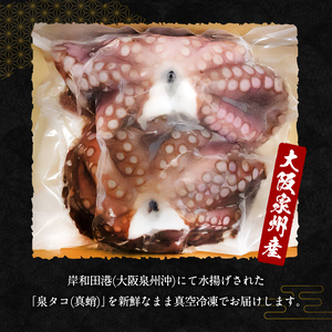 たこ 大阪泉州産 泉タコ 1.3kg 1杯～3杯×2袋 たこ