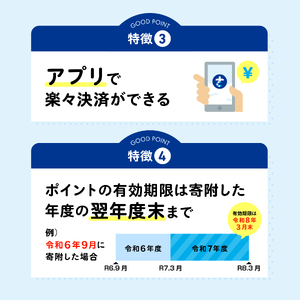 【 佐世保観光 トラベルポイント 】させぼe旅ポイント 30000円 トラベル