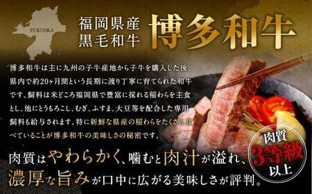 博多和牛 ステーキ （モモ） 10枚 （計約1kg） ＋ 佐賀牛 切り落とし 400g ／ 黒毛和牛 黒毛和種 和牛 牛肉 お肉 肉 もも モモ肉 もも肉 霜降り セット 国産 九州 福岡県 太宰府市