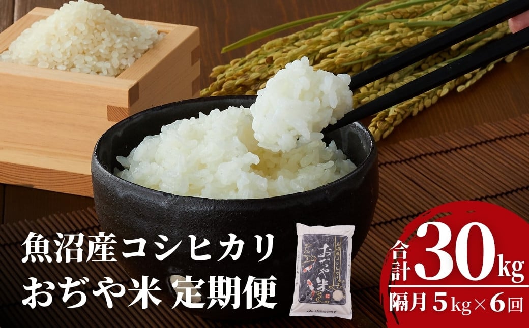 
            【6か月定期便(隔月発送)】 令和7年産新米 魚沼産コシヒカリ 精米5kg(5kg×1袋)×全6回 ※2025年10月上旬から発送予定 米 お米 こしひかり 魚沼 白米 精米 新潟県産 JA魚沼 【0002-JA06DB00-02】
          