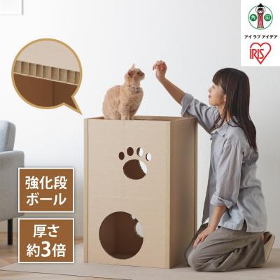 ふるさと納税 角田市 猫　ねこねこタワー　P-NT2