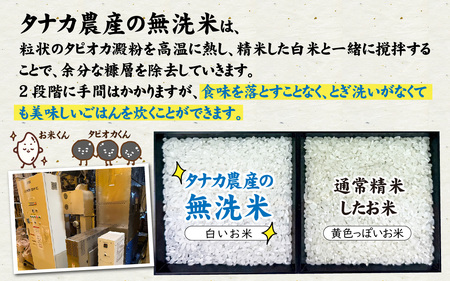 令和7年産【無洗米】特別栽培米 福井県産コシヒカリ 5kg [A-020031] / 無洗米