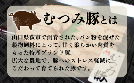 むつみ豚 自家製焼豚 計400g 冷凍 真空 個包装 モモ バラ 各 200g 山口 下関 老舗 伊藤精肉店 肉特集 FI004-y