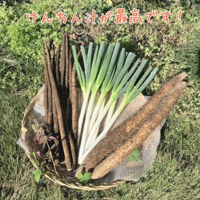 ふるさと納税 水戸市 水戸の3年長芋・ごぼう・ねぎセット　計約5kg |  | 01