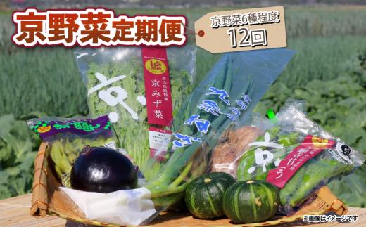 【 12回定期便 】 京野菜 野菜 6種 程度 定期便 12回 詰め合わせ 京都 野菜セット 季節 旬 栄養食 栄養野菜 九条ネギ 万願寺 賀茂なす 京都府産 数量限定 冷蔵 サラダ 健康 BBQ バーベキュー 健康食品 緑黄色野菜 美肌 美容 ふるさと納税 ギフト ギフト用 贈答 贈答用 贈答品 贈り物 お中元 お歳暮 サラダ 農家直送 産地直送 新鮮 人気 おすすめ リピーター
