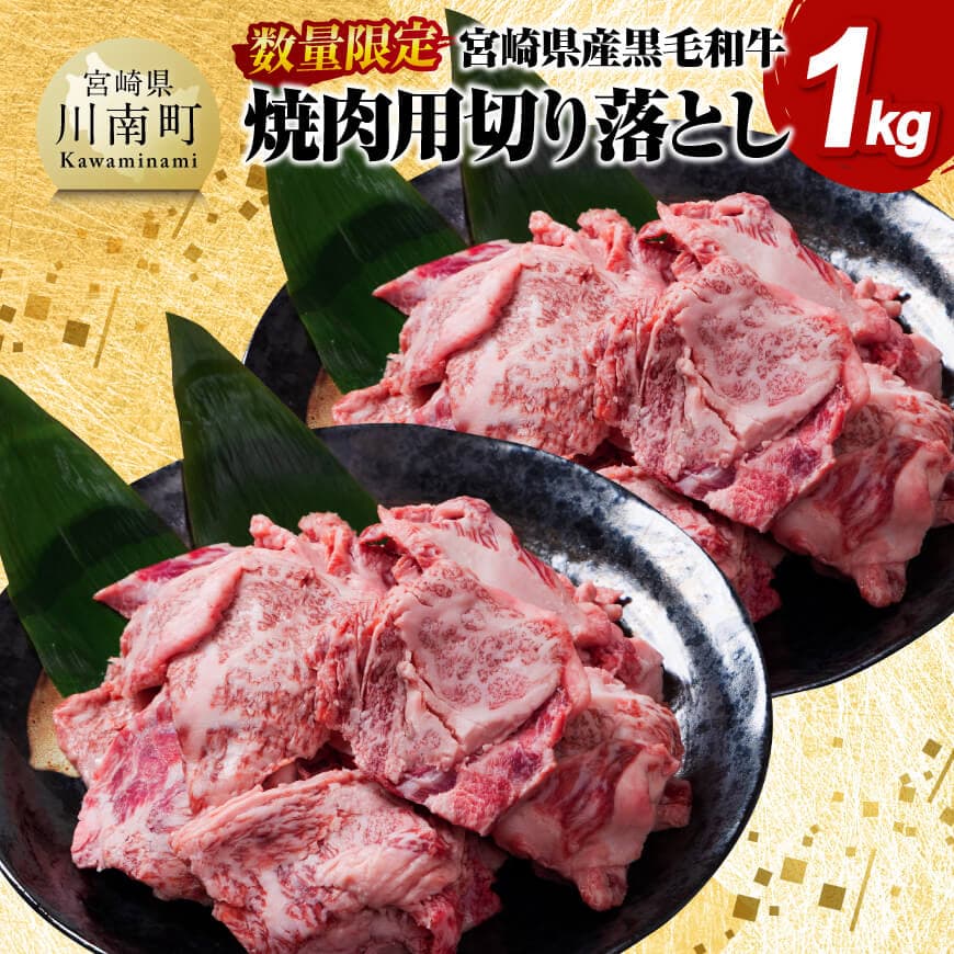 【ふるさと納税】※レビューキャンペーン※【数量限定】宮崎県産黒毛和牛　焼肉用切り落とし1kg - 牛肉 国産 宮崎県産 宮崎牛 BBQ D11304
