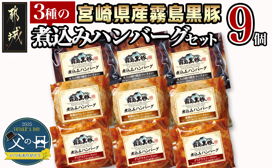 【父の日】霧島黒豚 3種の煮込みハンバーグギフト (デミグラスソース仕立て・和風おろしソース仕立て・大人の照焼きソース仕立て)≪6月12日～15日お届け≫_AA-2804-FG