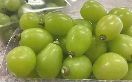 【2025年先行予約】【粒カットバラ品】 シャインマスカット(1kg程度） Lino＆Kai Farm  【2025年10月上旬～順次発送】 / 朝採れ ぶどう 岡山  真庭市 シャインマスカット 高