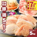 【ふるさと納税】【レビューキャンペーン対象】宮崎県産豚・鶏5kgセット - 鶏むね肉3kg(真空パック) 豚こま2kg(トレー) 国産鶏肉×国産豚肉のセット 鶏ムネ肉 豚肉 小間切れ こま切れ 豚肉 切り落とし スピード配送便 送料無料【宮崎県木城町】