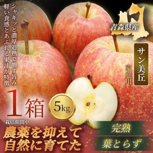 【青森直送 季節の味覚をお届け!】サン美丘 5kg×1箱(家庭用)青森産 産地直送 限定生産【配送不可地域：離島】【1700929】