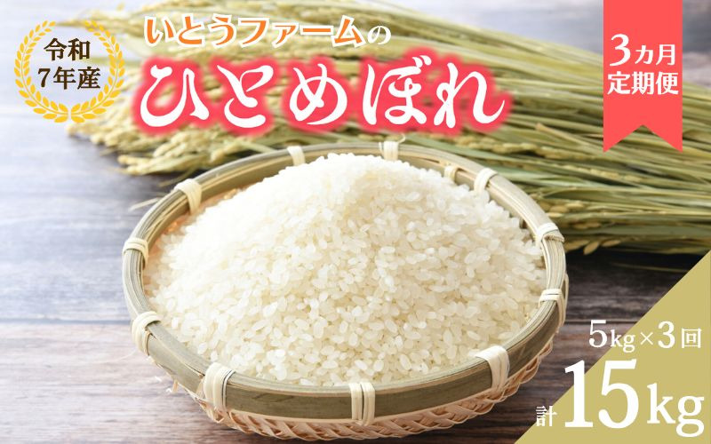 【3ヶ月定期便】いとうファームの 令和7年産「ひとめぼれ」5kg×3回 計15㎏ / 米 お米 精米 白米 ご飯 米定期便 産地直送 【itofarm013】