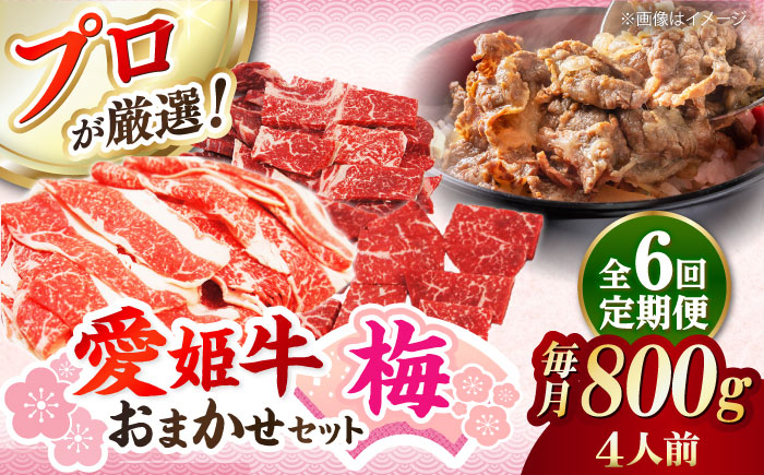 
            牛肉【全6回定期便】「愛姫牛」店主におまかせ旬セット【梅】800g（4人前）愛媛県大洲市/有限会社 木村屋精肉店 [AGCC058] 肉 赤身 料理 牛肉料理  肉 牛 和牛 グルメ ステーキ 焼肉 肉質 精肉店 愛媛県産 大洲市産 産地直送 愛姫牛 国産牛 ブランド肉 サシ 赤身 肉質 旨味 食事 焼き肉 ご褒美 おすすめ 人気 お取り寄せ 店主におまかせ 旬セット 定期便 四人前
          
