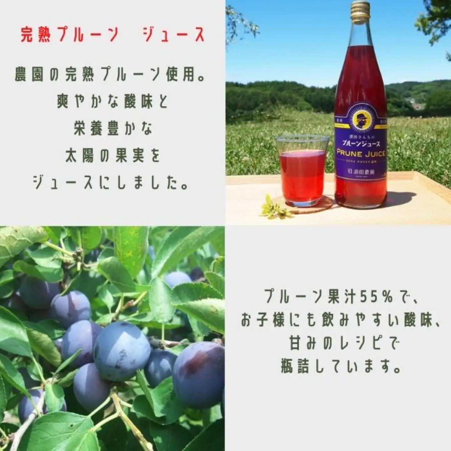 須田農園　ジュース＆ ドライフルーツセット （果汁100％りんごジュース　完熟プルーンジュース　ドライプルーン）[SU-110]