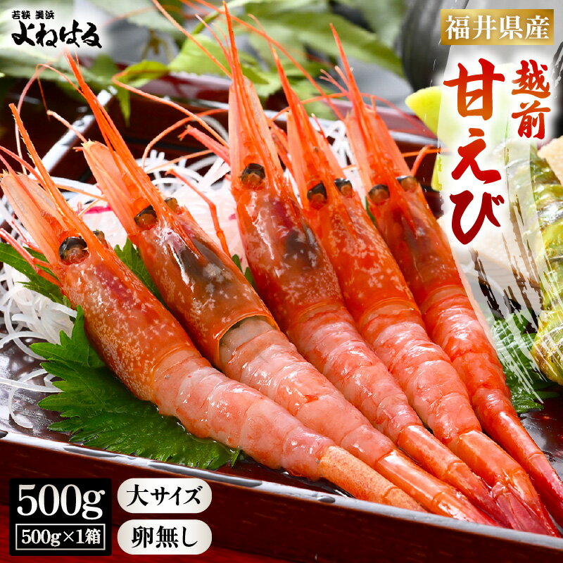 【ふるさと納税】天然！越前甘エビ (卵なし) 大サイズ 約500g × 1箱 (約30尾入り) 【選べる発送月】解凍方法説明書付き 船内凍結 酸化防止剤不使用！【えび エビ 海老 甘エビ 甘えび 海鮮 お刺身 魚介 おせち 無添加 冷凍 福井県産 】 [m17-a052]